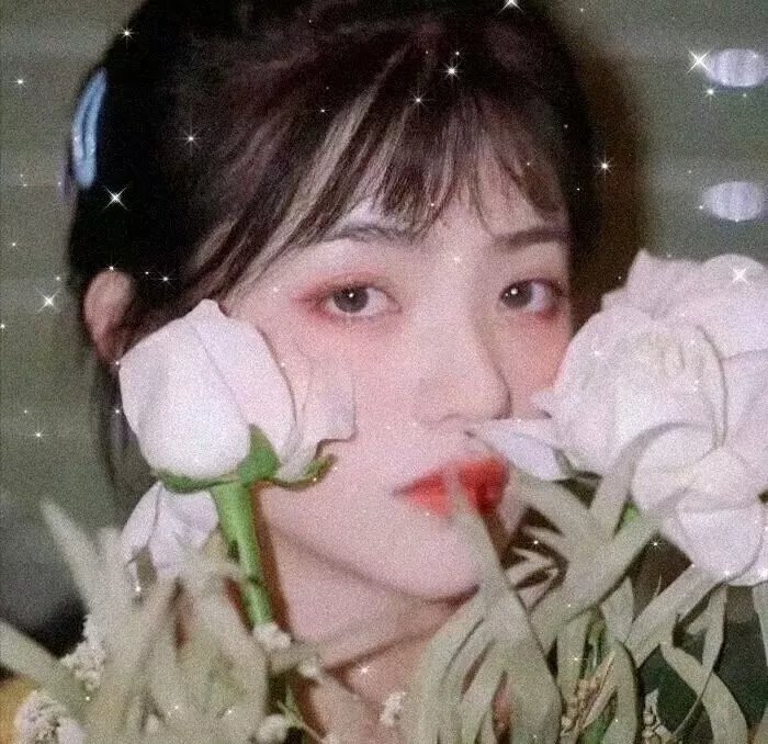 路人女主的养成方法 第二季